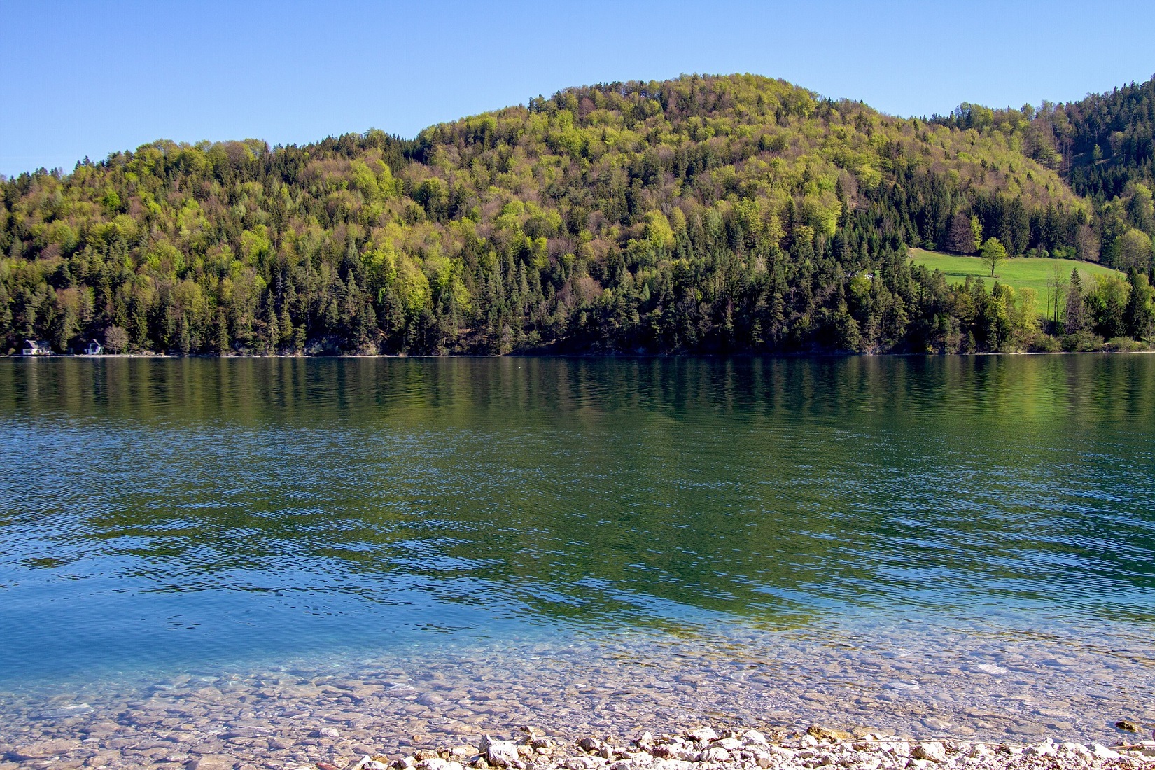 Fuschlsee-Natur.jpg