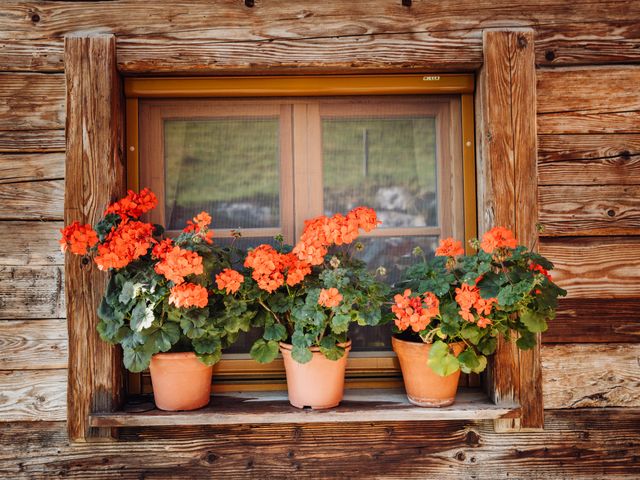 Chalet Martenalm
