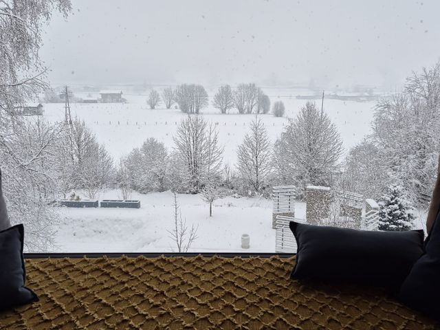 Cozyfox