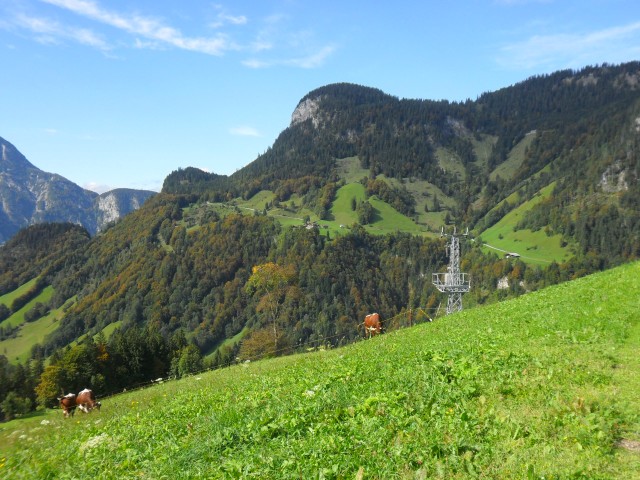 Naturheubad